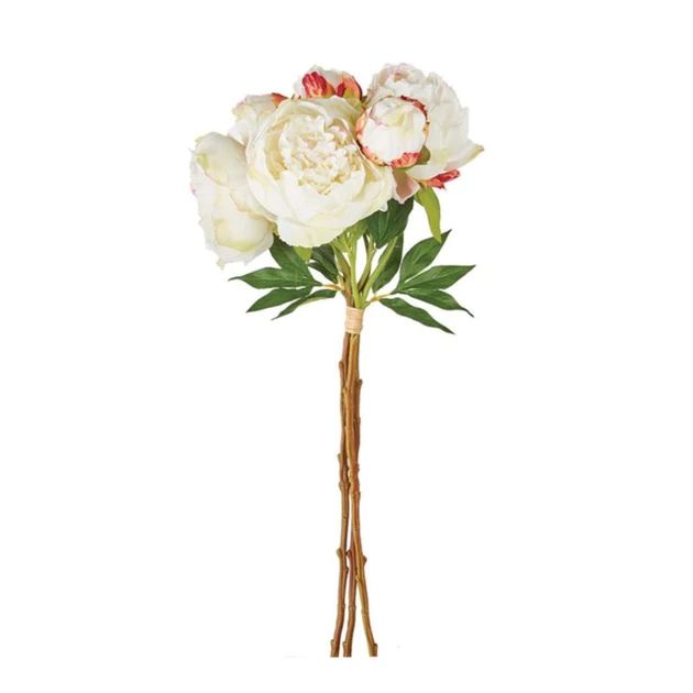 Cream Faux Peony Stems | Cailini Coastal