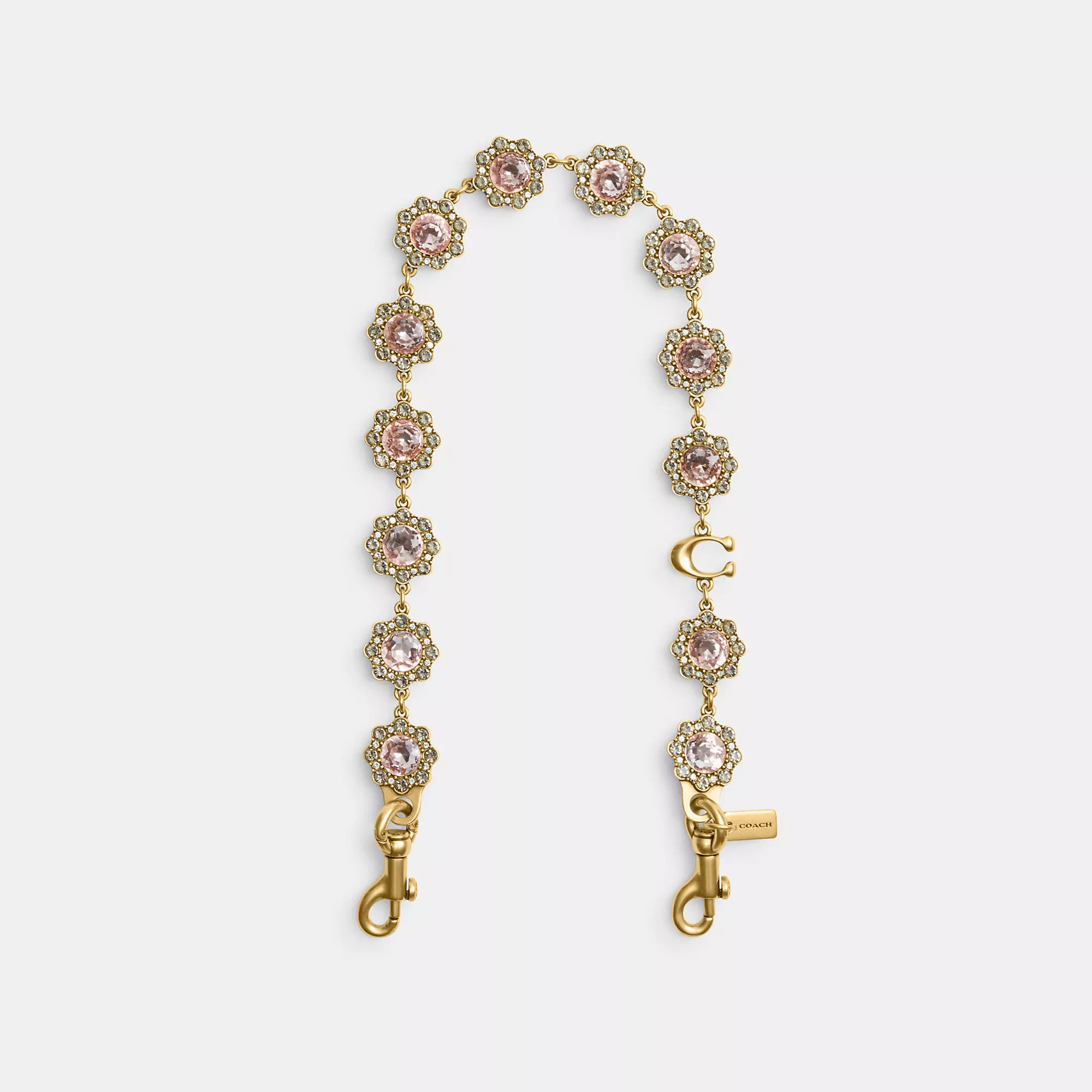 Short Jewelry Chain Strap | Coach (US)