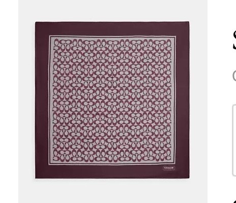 Silk Coach Scarf

#LTKmomlife #LTKHoliday #LTKU