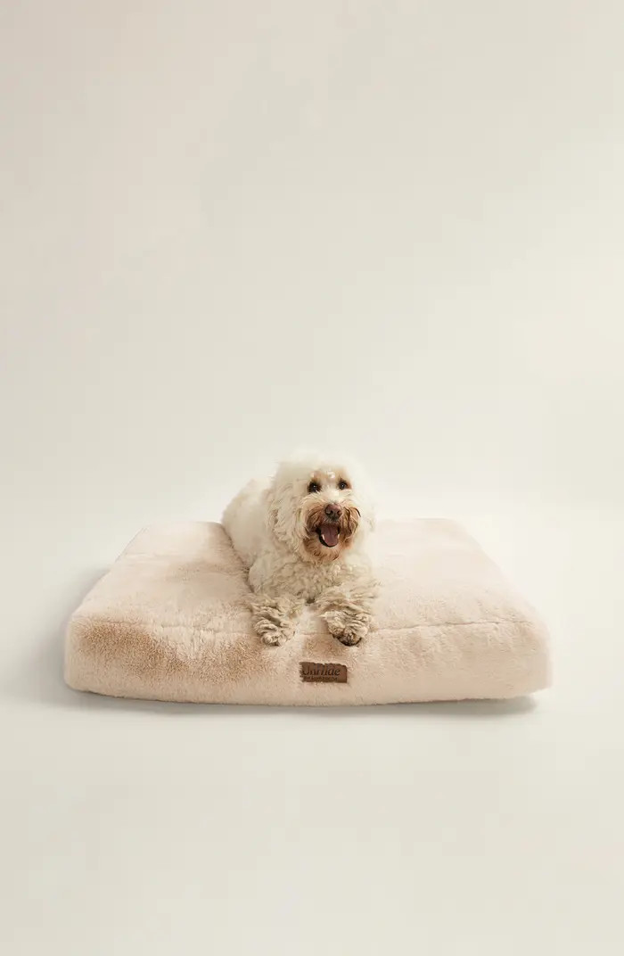UnHide Pillow Pad Pet Bed | Nordstrom | Nordstrom