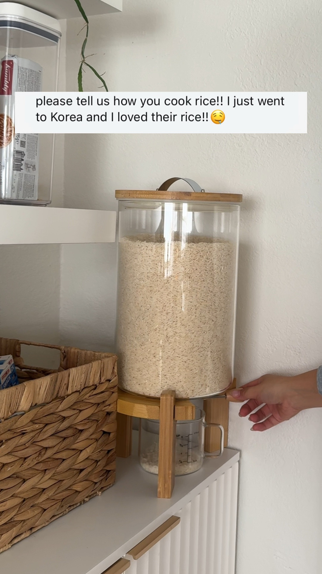 RICE FIX EVERYTHING 


#LTKHome #LTKFamily