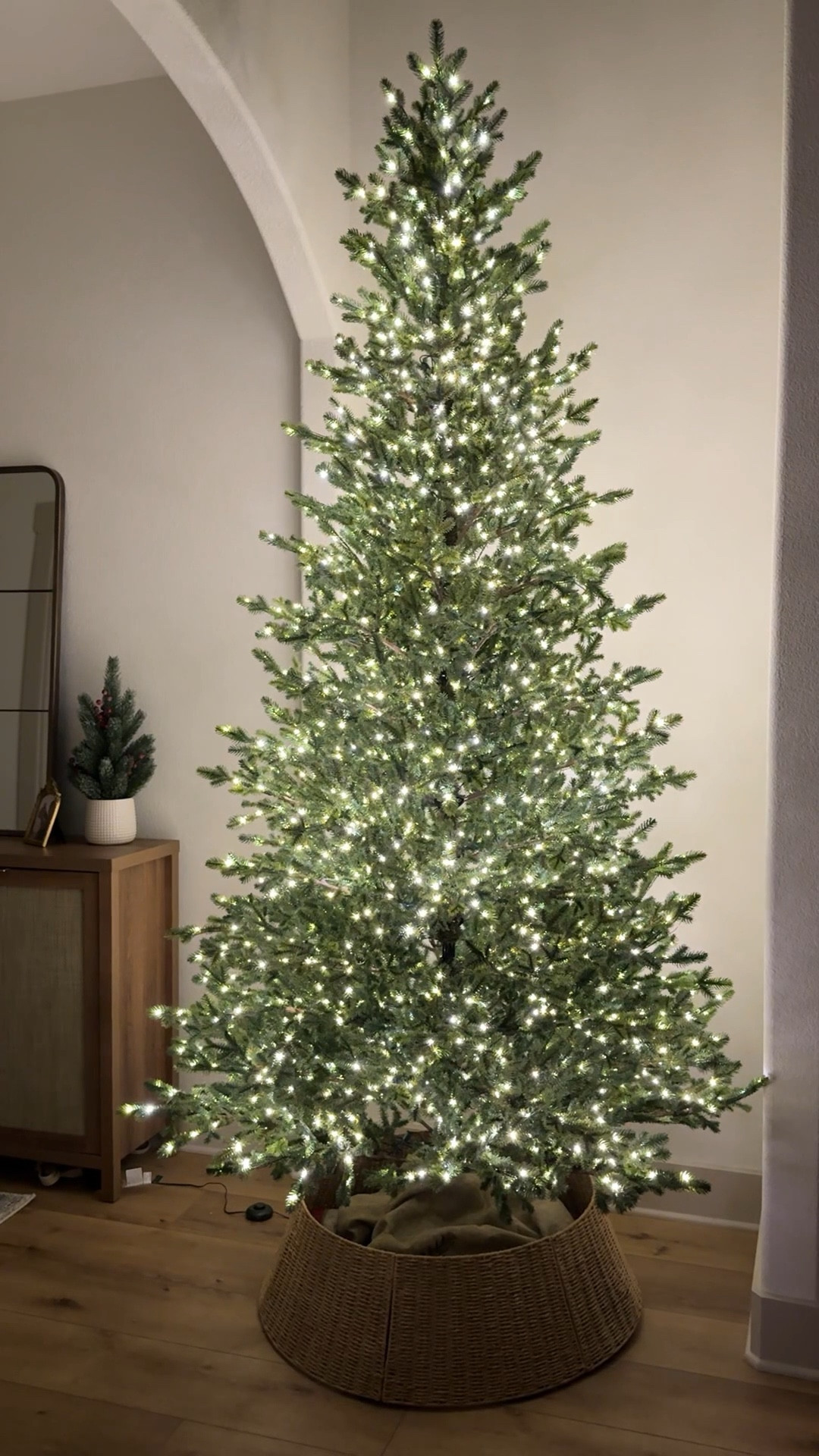 Two viral Home Depot trees… but which one wins?

Everyone’s obsessed with the Grand Duchess Twinkling Tree🌲 but I don’t get it when the Elegant Grand Fir Twinkling Tree exists!

This is straight out of the box with zero fluffing and it already looks fuller than the Duchess. To me, it also feels way more realistic with the brown trunk + branches along with the slightly narrower tapered top. It has warm fairy lights woven through the branches (instead of the brighter LED capsules that just hang on the Duchess). This gives a way cozier and elegant feel (hence the name 😊). 

So for me…. I’m Team Grand Fir all the way 🙌 It’s still in stock so get yours now! Mine is 9 foot! 

#christmastrees #granduchess #grandfir #homedepotchristmastrees

#LTKHome