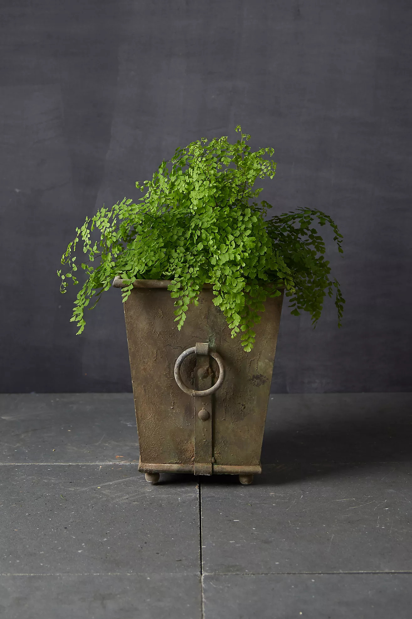 Ring Handle Iron Taper Planter | Terrain