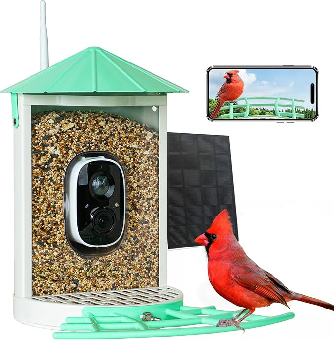 Smart Bird Feeder with Camera Solar, Auto Capture Bird Videos & Motion Detection, Bird Watching C... | Amazon (US)