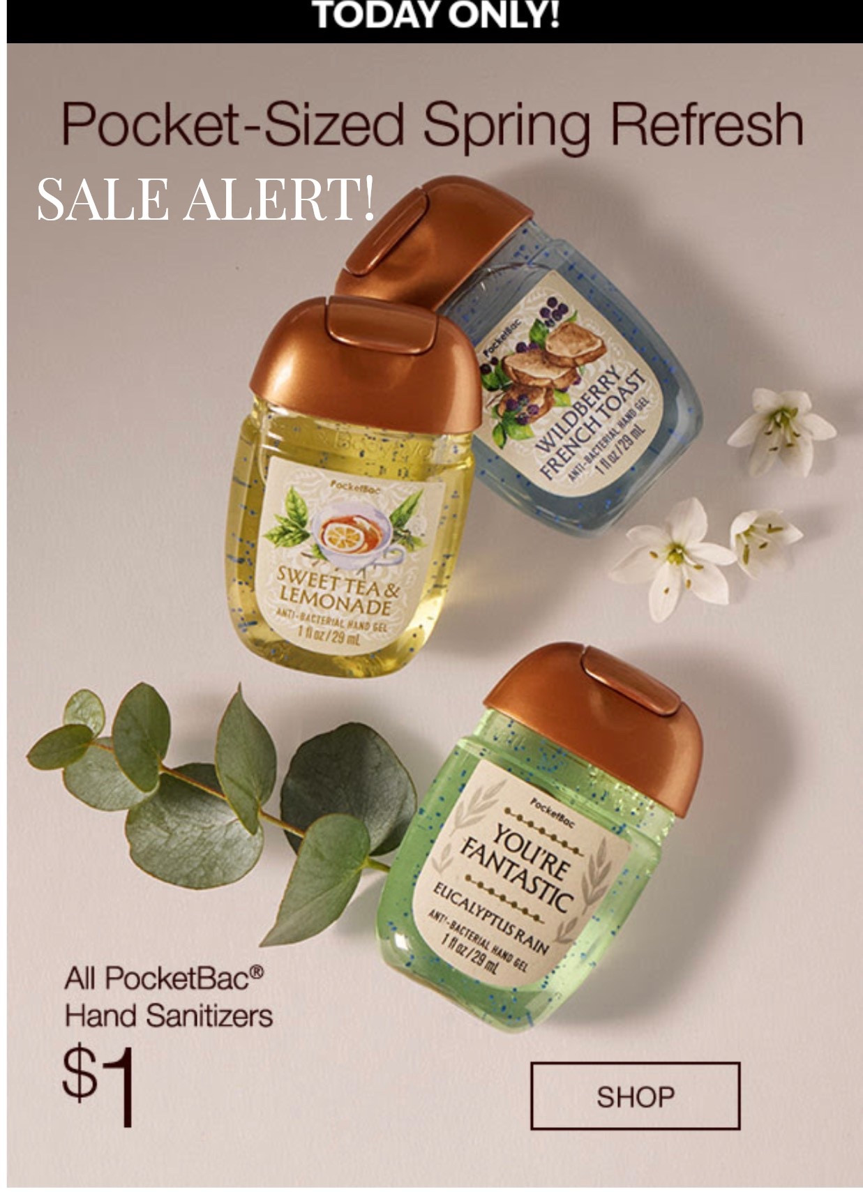 $1 Sanitizers Sale! Today Only (March 26, 2026 ) 