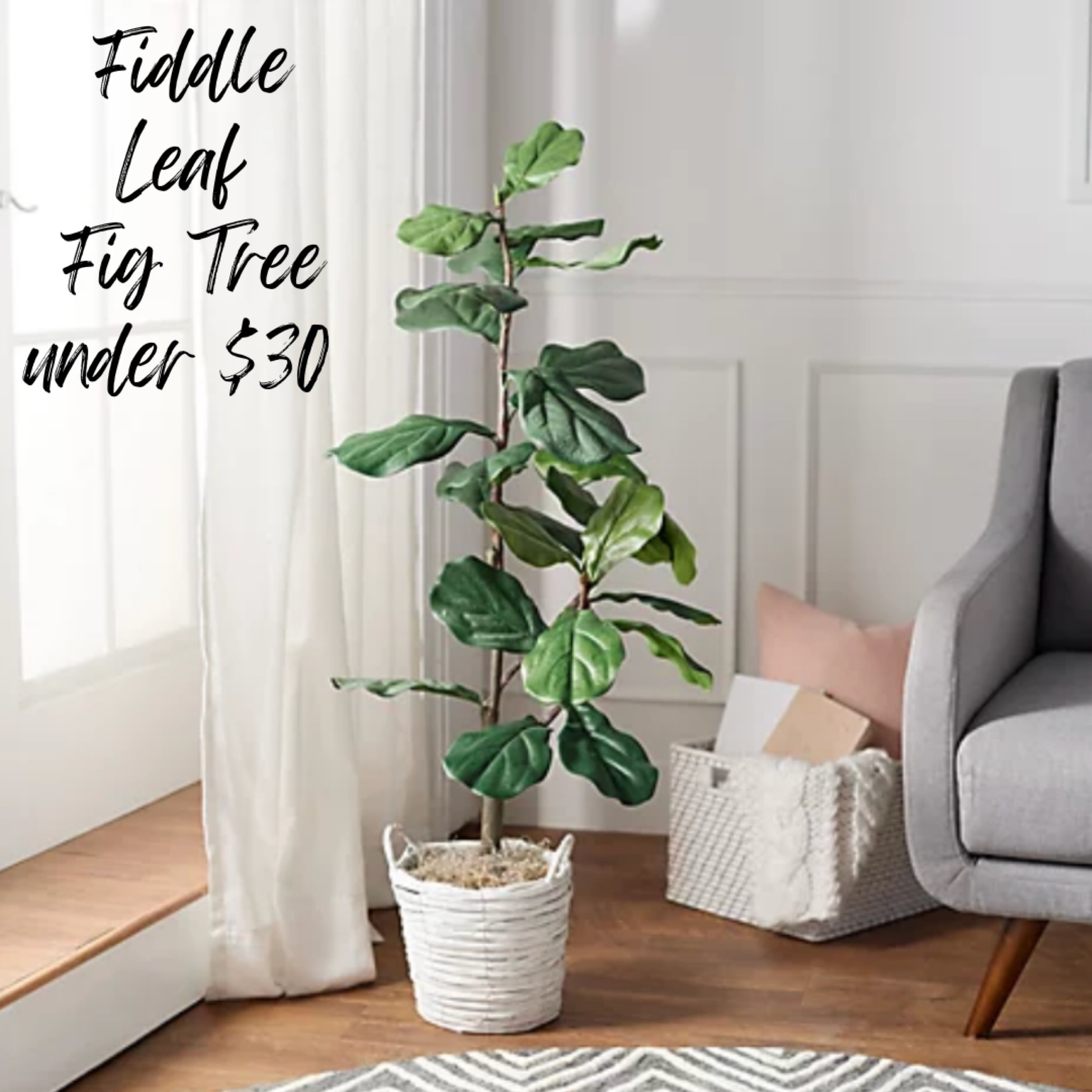 Fiddle leaf fig tree under $30! | fiddle leaf | fiddle leaf fig tree | artificial plant | home decor | home inspo | home finds | tree | plant | 

#LTKsalealert #LTKhome #LTKFind