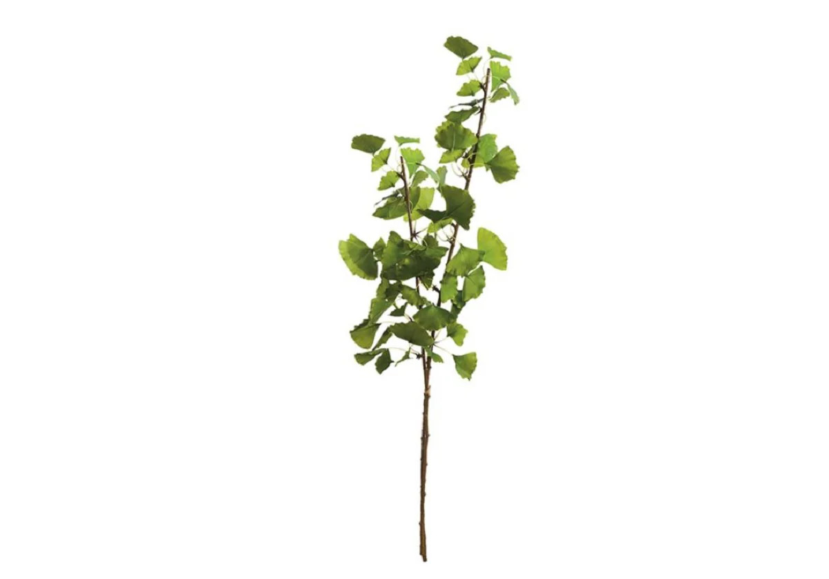 GINKGO BRANCH | Set of 2 | Alice Lane Home Collection