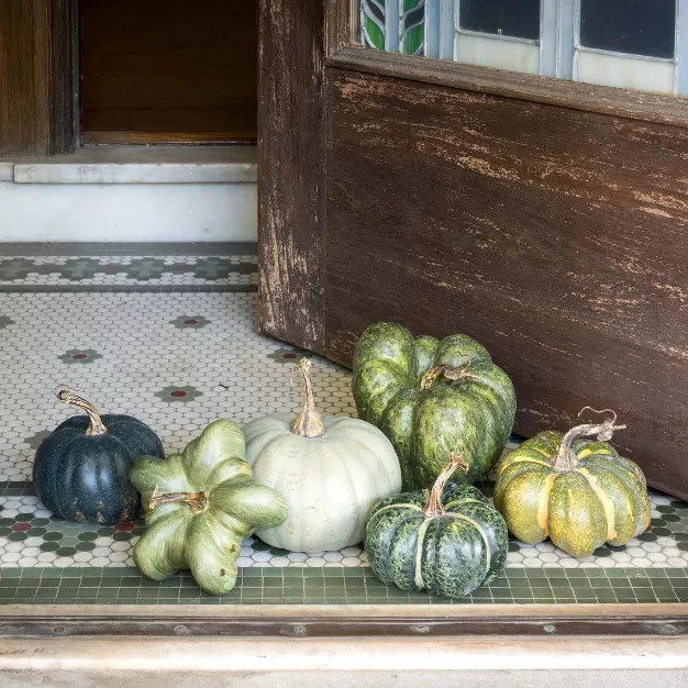 Park Hill Collection Green Heirloom Pumpkin Collection | Target