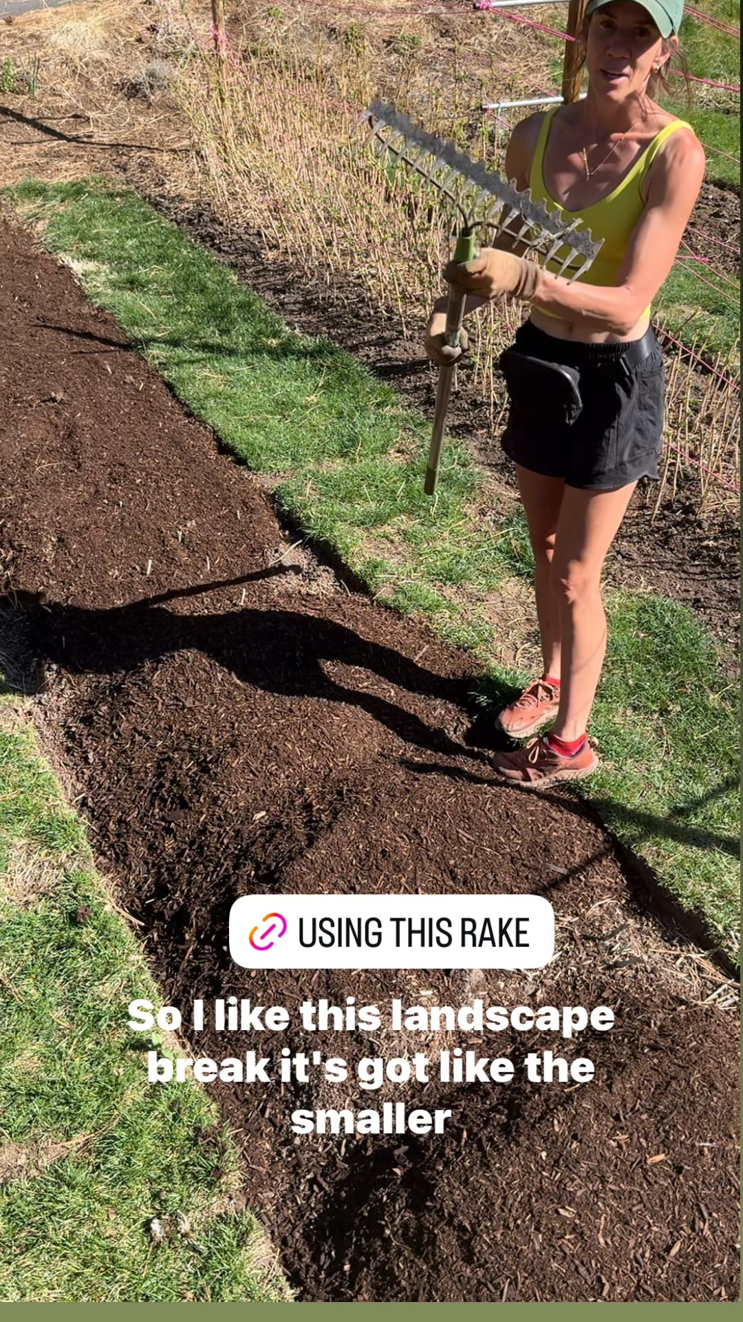 One of my most-used garden tools! 
This landscape rake works so well for spreading mulch, leveling soil, and cleaning up garden beds.
It makes everything look even and finished with way less effort-especially when you're tackling bigger areas.
If you're doing any spring yard work or refreshing beds,  this is one tool I always reach for.
Linking it here if you're tackling mulch this spring!
#Itkhome #Itkgarden #gardentools #gardenprojects #backyardgarden #mulching #springgardening #gardeninspo #Itkfinds #diygarden


#LTKSeasonal #LTKstorytime #LTKHome