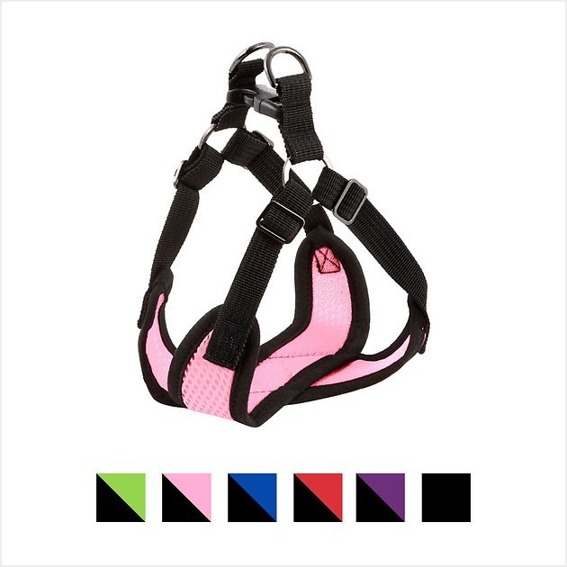 Gooby Comfort X Mesh Step In Back Clip Dog Harness, Black, X-Large: 19 to 23.5-in chest | Chewy.com