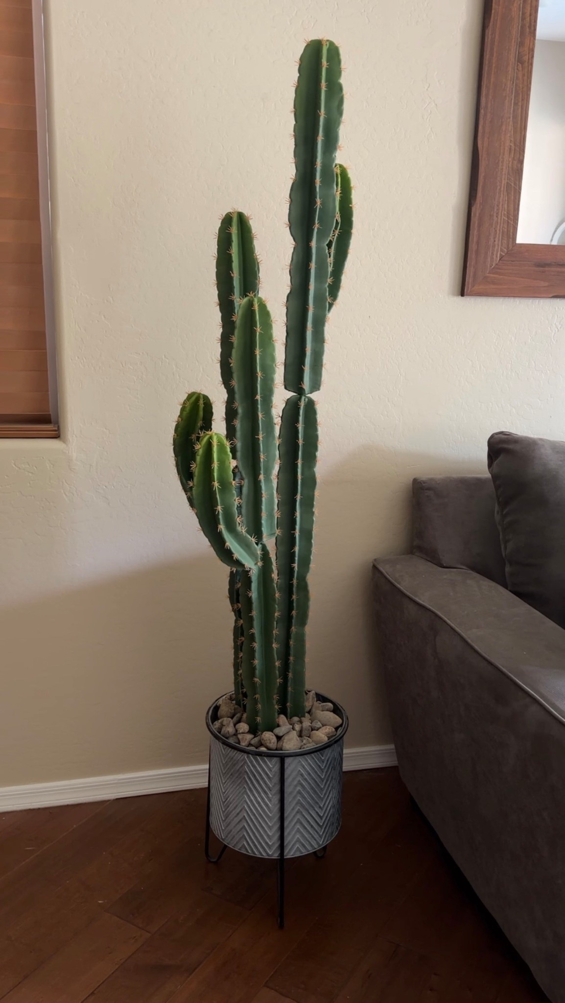 5ft. faux cactus decor 🌵

#LTKHome