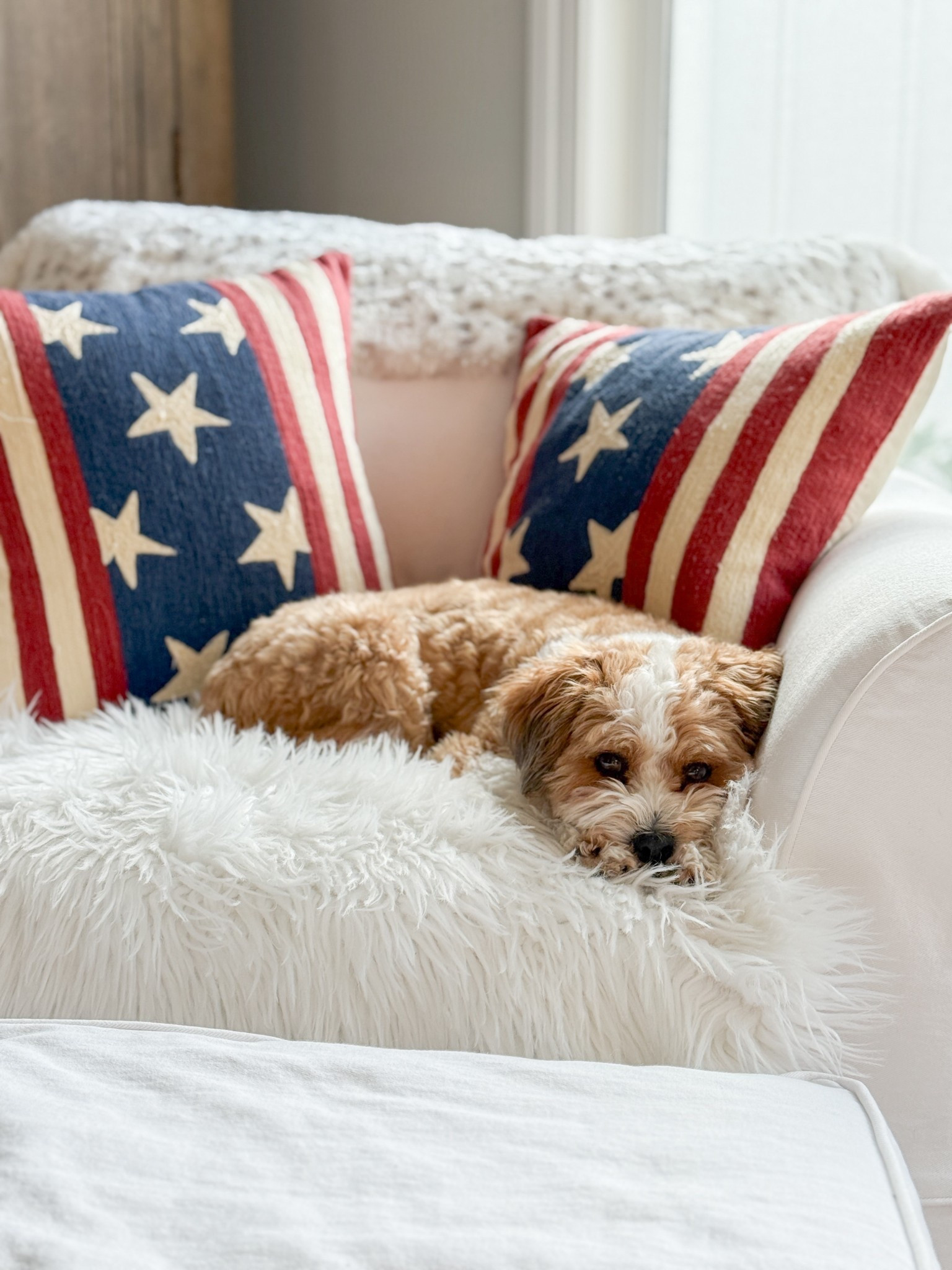 patriotic decor - love the celebrate USA 



#LTKSeasonal #LTKHome