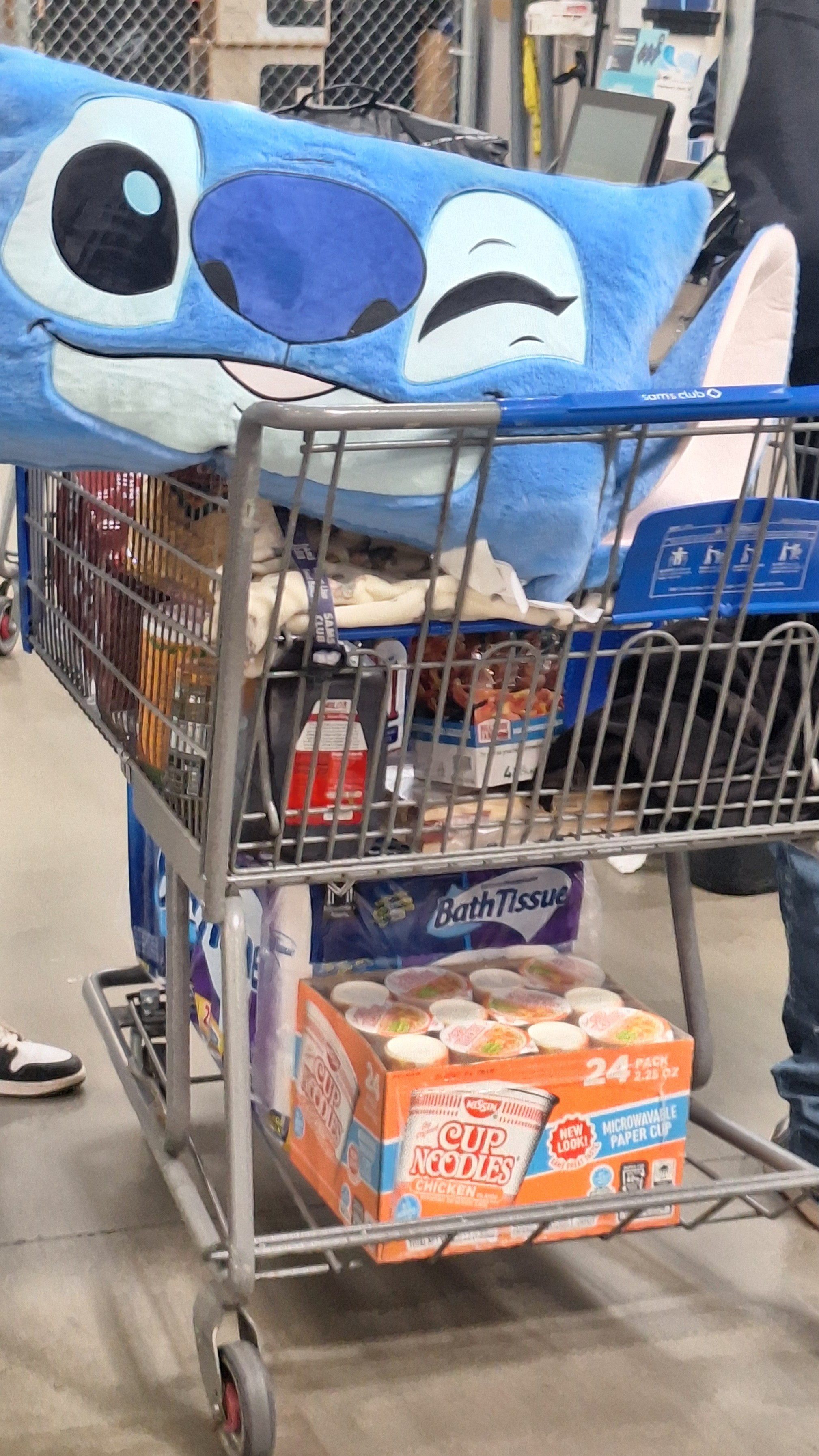 Sam’s Club Disney Find!