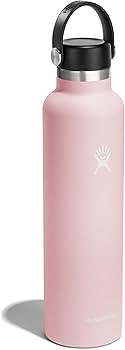 Hydro Flask 24 Oz Standard Flex Cap Trillium | Amazon (US)
