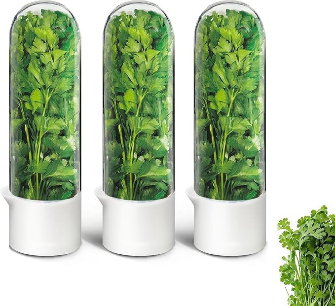 Herb Keeper for Refrigerator, Herb Saver for Refrigerator, Cilantro Container, Vegetable Preserva... | Amazon (US)