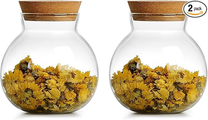 DNIENKGE Spherical Glass Jar With Cork Lid Airtight - 17oz Candy Jar Kitchen Glass Jar - for Pres... | Amazon (US)