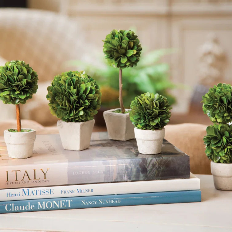 Preserved Greens Boxwood Topiary in Ceramic Pot | Wayfair North America