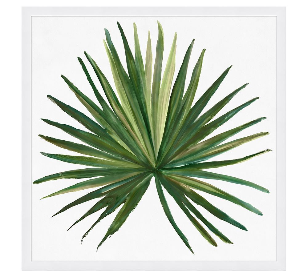 Tropic Palm Framed Print | Pottery Barn (US)