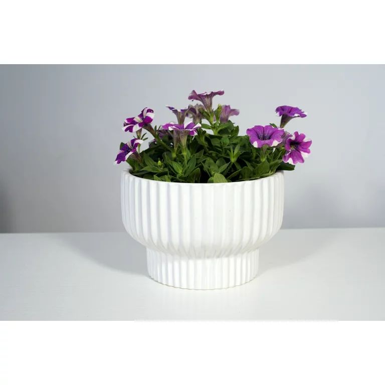 Better Homes & Gardens Pottery 8" Fischer Ceramic Planter, White | Walmart (US)