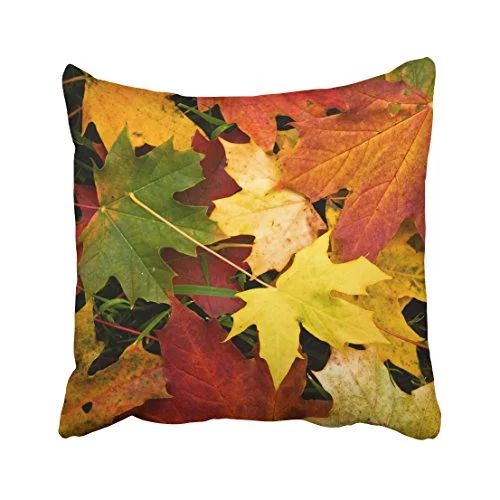 WinHome Decorative Autumn Leaves Fall Throw Pillow Covers for Sofa and Bed Size 18x18 inches Two ... | Walmart (US)