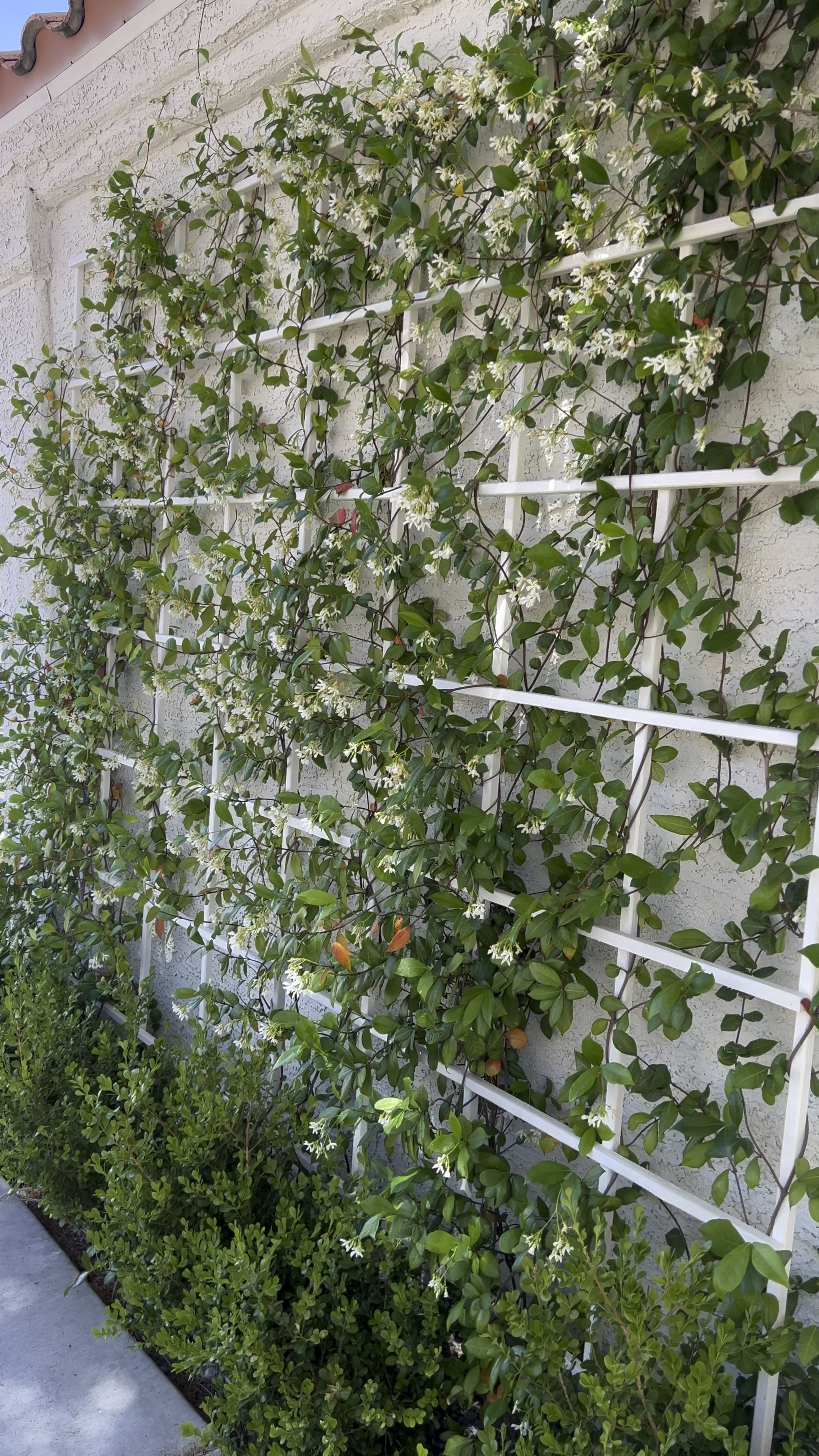 Garden trellis. Outdoor decor. Curb appeal. Front porch. 

#LTKHome #LTKSeasonal