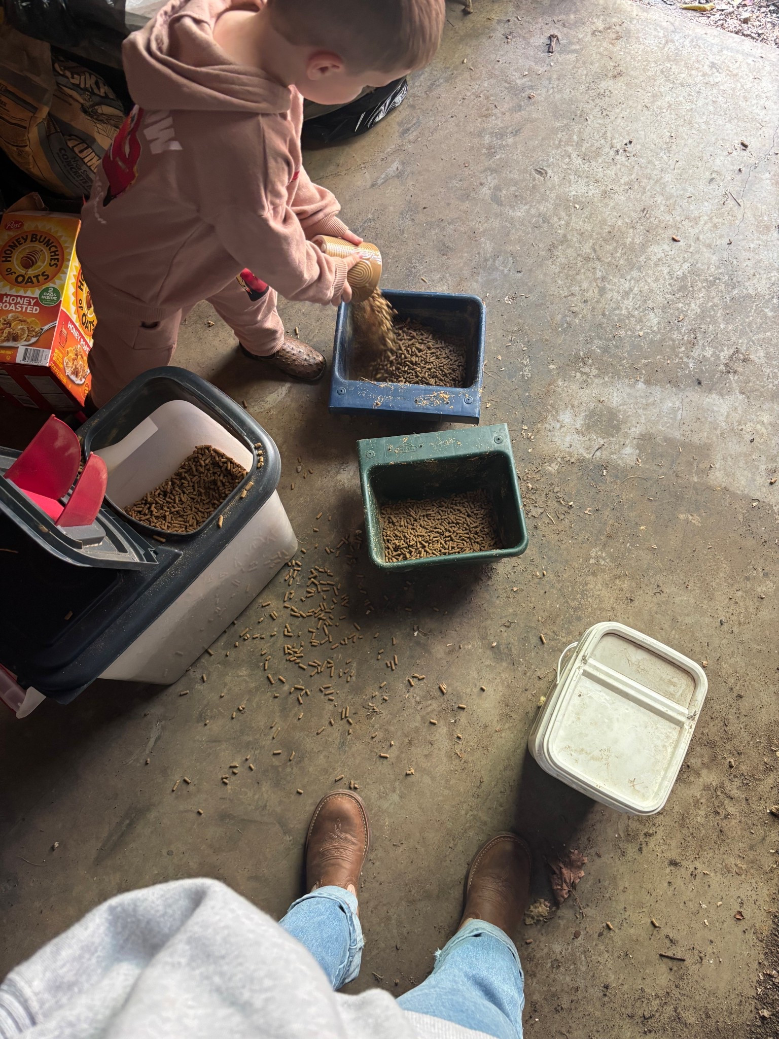 Big helper! Got out and fed Kane and Scout!

#LTKSeasonal #LTKPets #LTKFamily