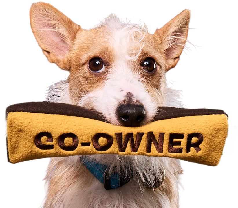 Co-Owned By Dogs | BARK