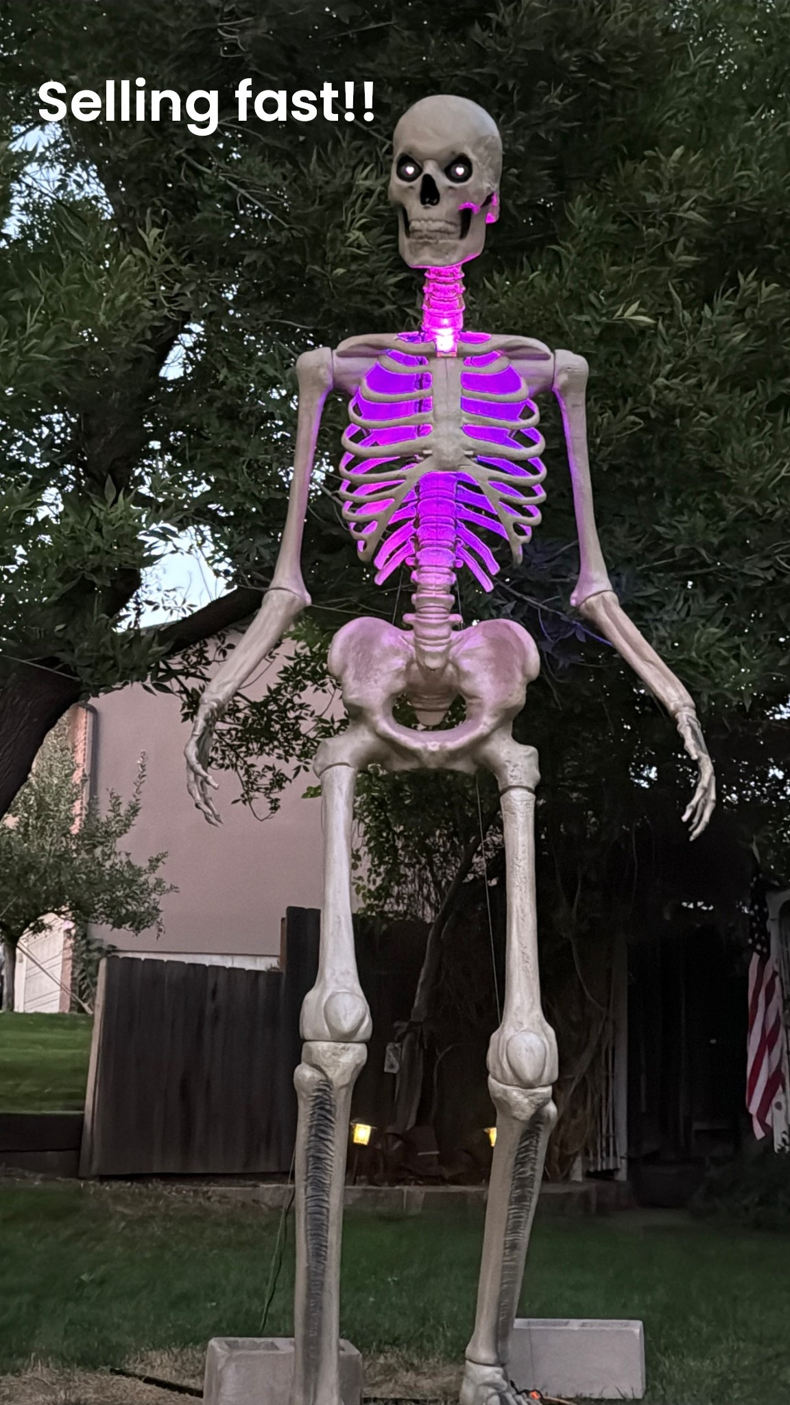 Giant skeleton with lights!

#LTKHalloween #LTKSeasonal #LTKHome
