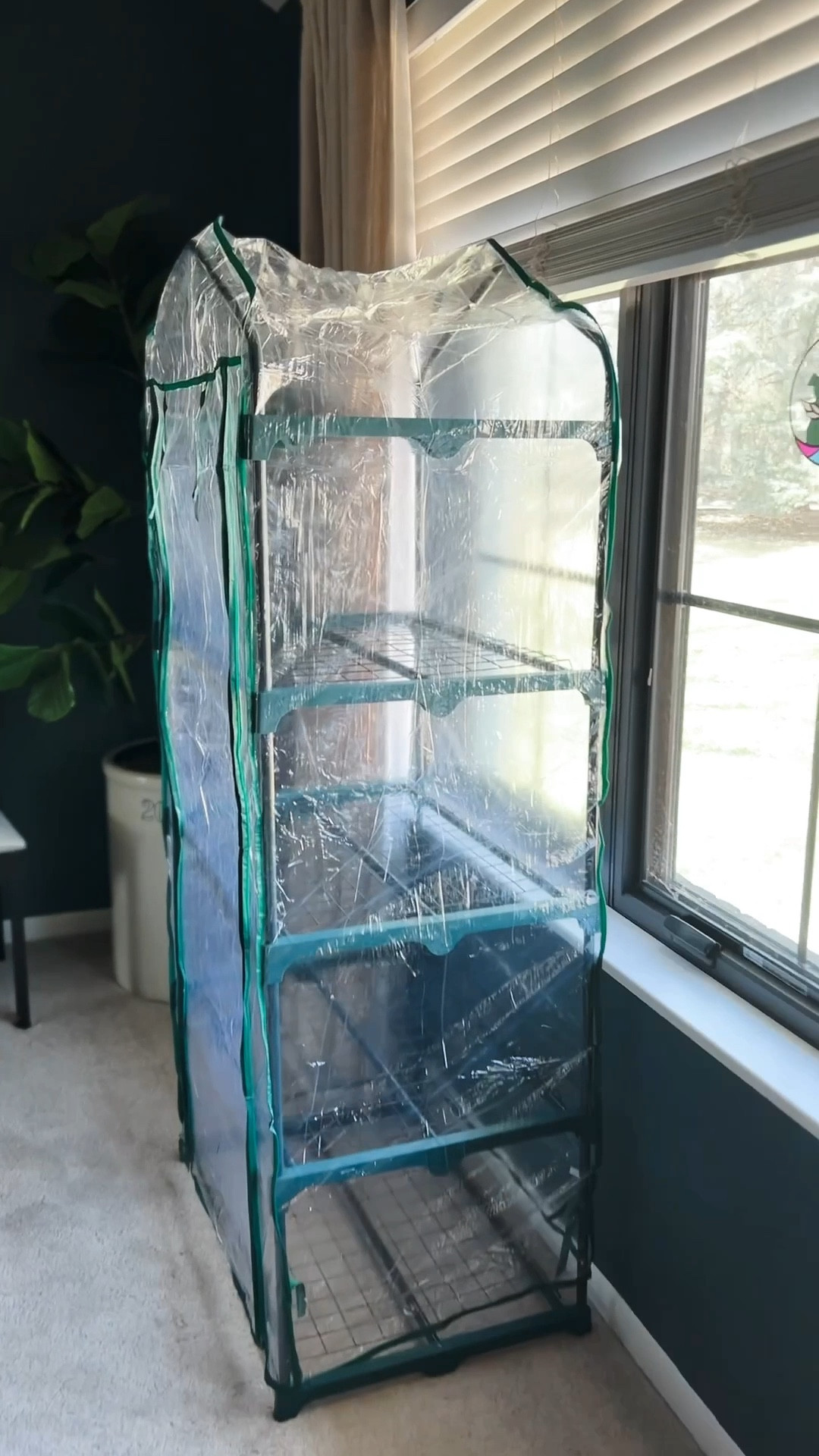 Prepare for a bountiful spring with this essential 4-tiered indoor greenhouse! 
Can’t wait to dive into starting some seeds this month!

#LTKSeasonal #LTKHome #LTKFindsUnder50
