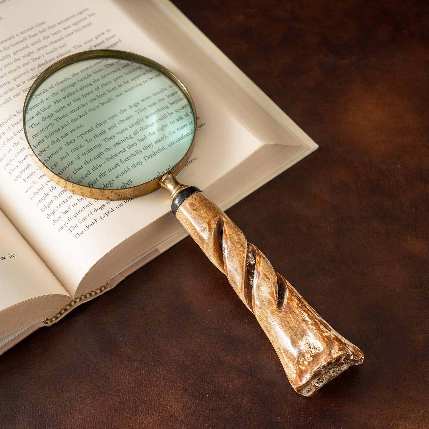 Bone Handle Magnifying Glass | Linen & Clove