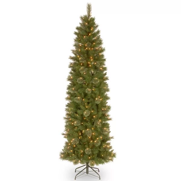 Pencil Slim Green Pine Artificial Christmas Tree with Clear Lights | Wayfair North America