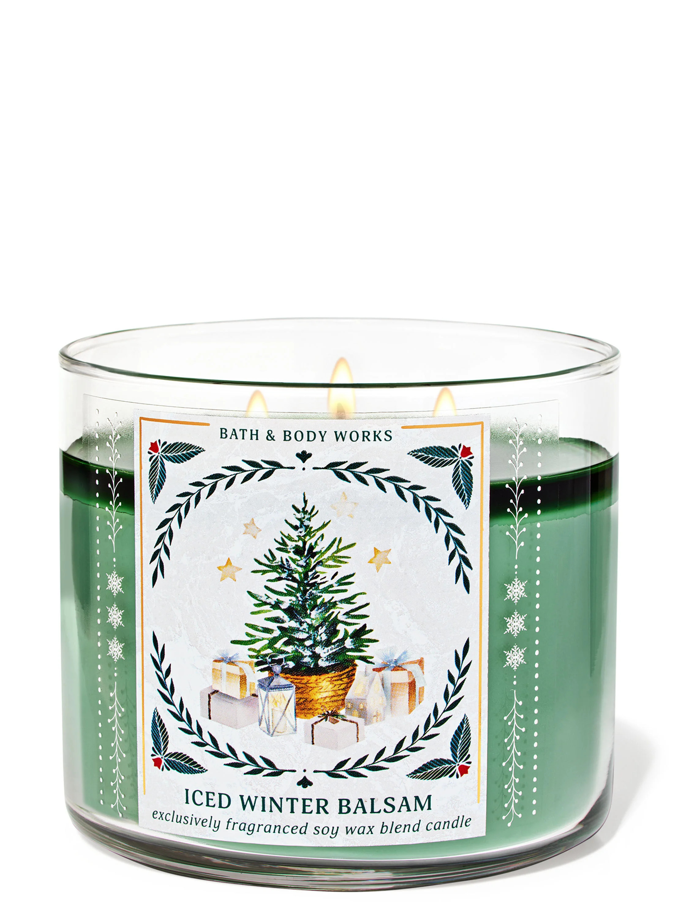 Iced Winter Balsam


3-Wick Candle | Bath & Body Works