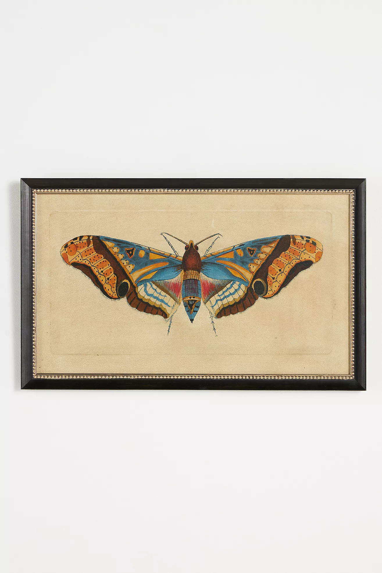 Crackled Moth Wall Art | Anthropologie (US)