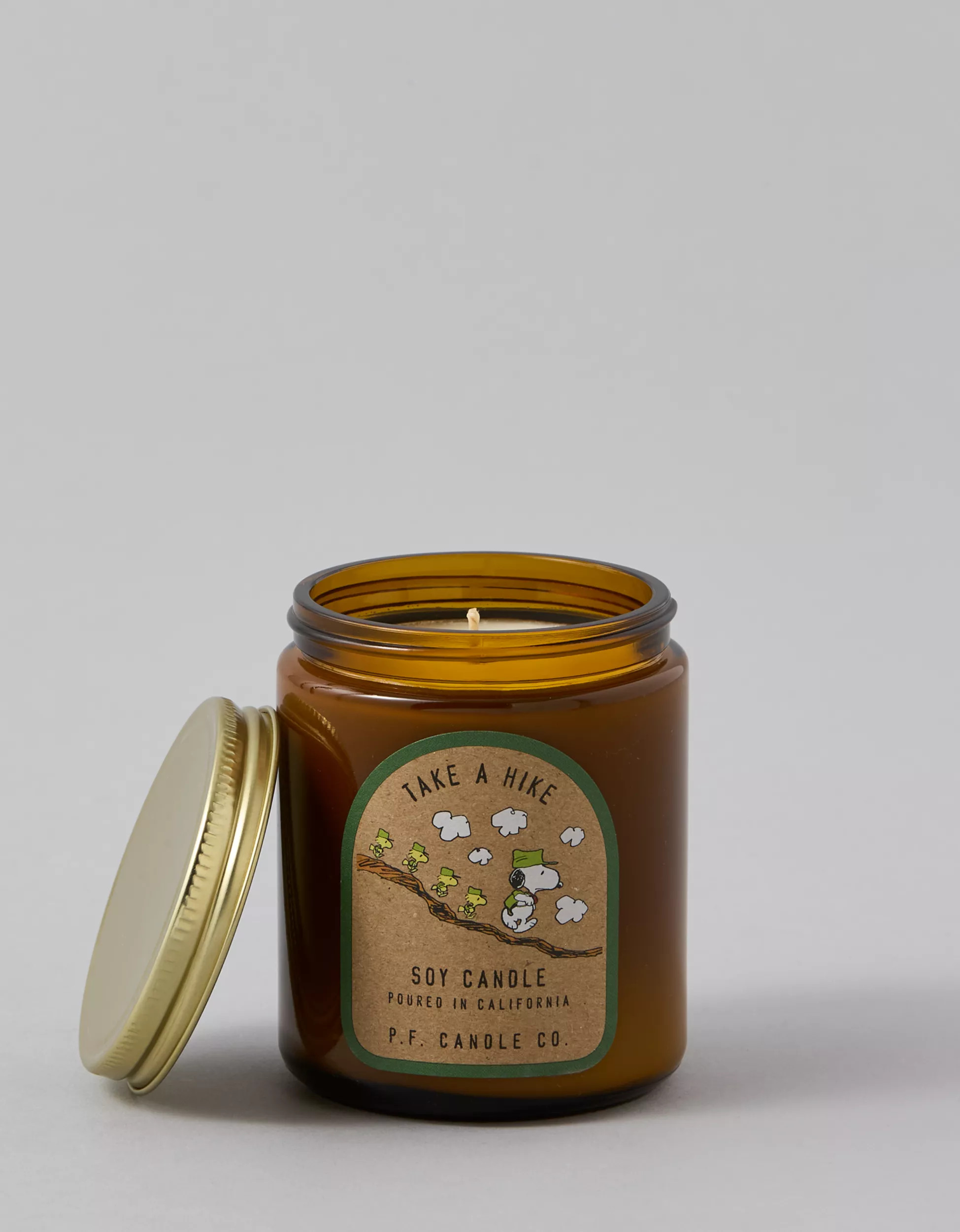 P.F. Candle Co. Take a Hike for Peanuts Candle | American Eagle Outfitters (US & CA)