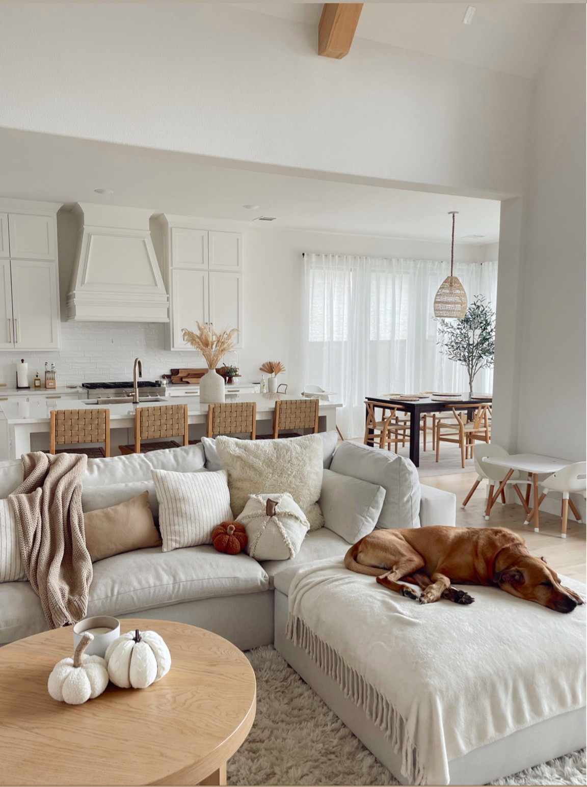 Hello fall home decor!! Just a hint of fall decor came out today (Sherpa pumpkins, faux stems, more pumpkins…)! 
West elm harmony sectional. Beige sectional. Living room furniture. Neutral home decor. Woven bar stools. Neutral counter stools. Faux olive tree. Pumpkin pillow. White vase. Plaster vase. Throw pillows  



#LTKstyletip #LTKSeasonal #LTKhome