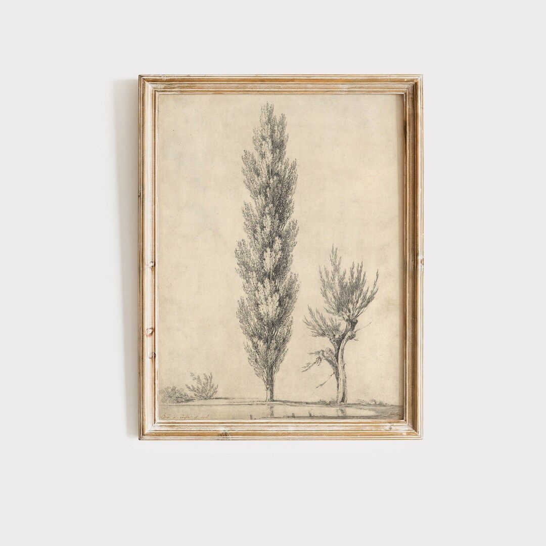 Vintage Tree Sketch, Antique Tree Drawings, Botanical Art, Farmhouse Art Set, Nature Sketch, | Etsy (US)