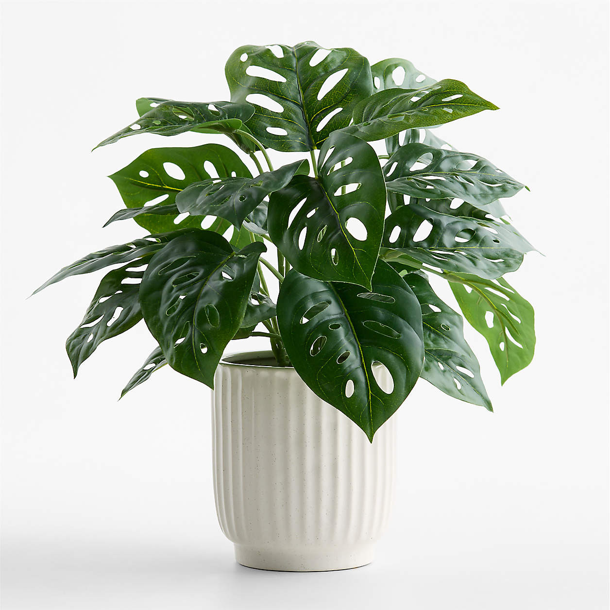 Potted Faux Monstera Plant 12" | Crate & Barrel | Crate & Barrel