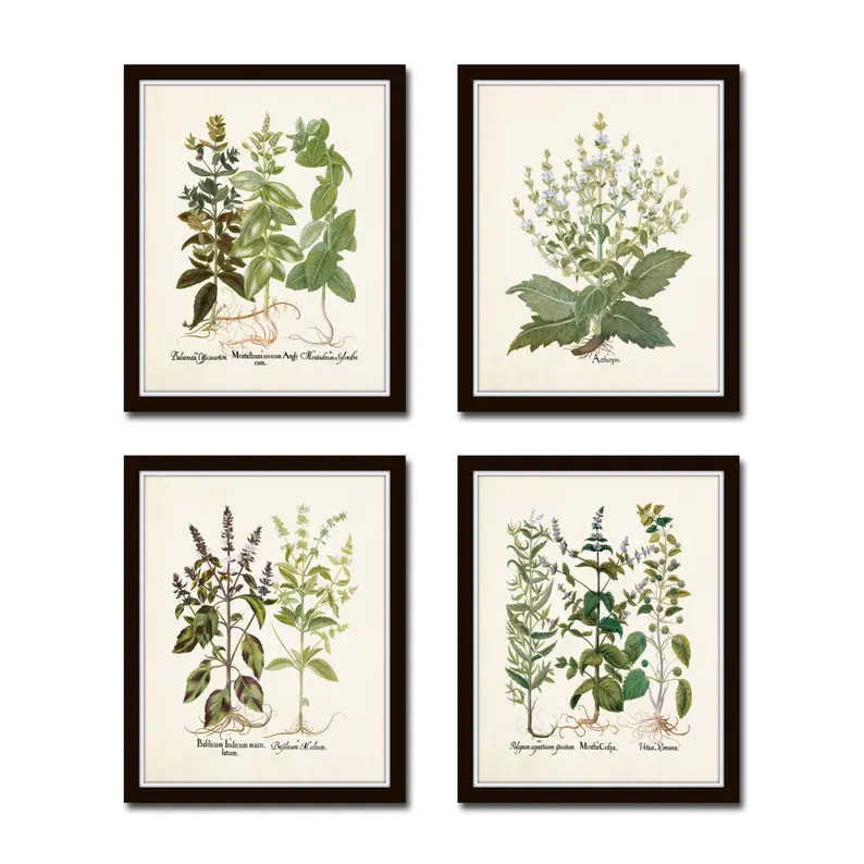 Antique Herbs Print Set No. 29, Herb Prints, Vintage Botanical Art, Kitchen Wall Decor, Botanical... | Etsy (US)