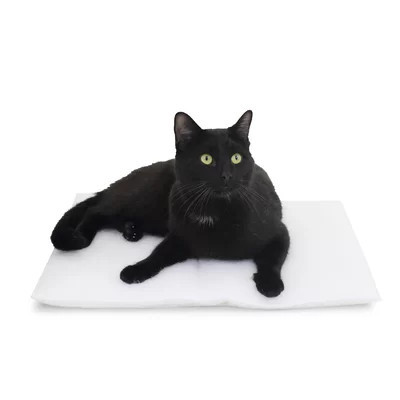 Mat / Pad Square Cat Bed | Wayfair North America