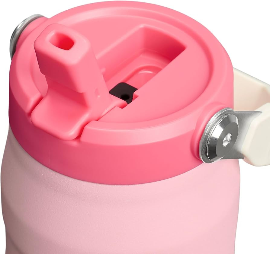 Stanley IceFlow Flip Straw 2.0 Water Bottle 24 oz | Built-In Straw for Travel and Sports | Lightw... | Amazon (US)