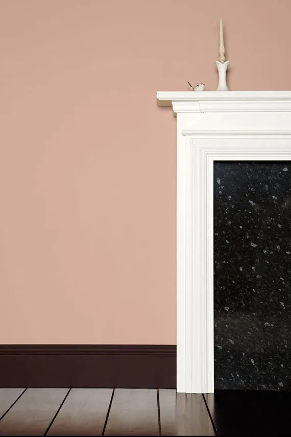 Dead Salmon | Farrow & Ball (US)