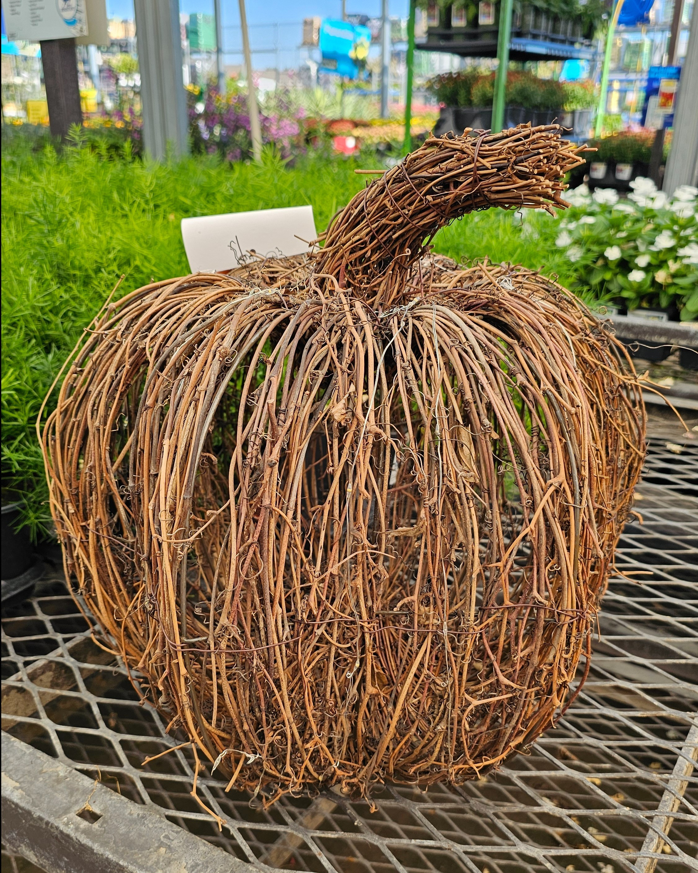 Lighted Rattan Pumpkin - add texture and interest to your fall porch with this decorative Pumpkin. #falldecorating #falldecor 

#LTKHome #LTKSeasonal