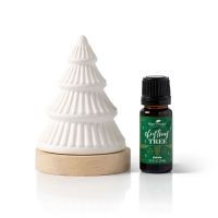 Winter Fir Passive Diffuser Set | Plant Therapy
