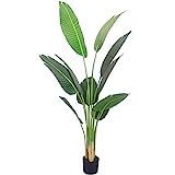 Softflame 5ft Bird of Paradise Palm Artificial Tree, Tropical Plants in Pot, Real Touch Technolog... | Amazon (US)