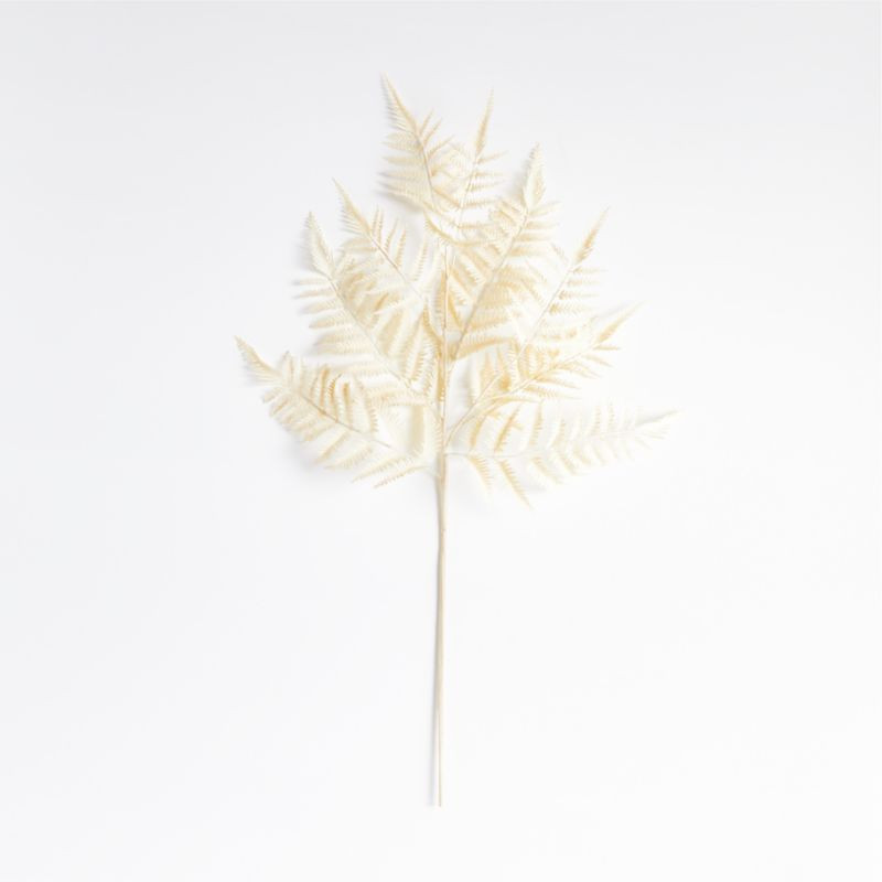 Faux White Fern Leaf Stem + Reviews | Crate & Barrel | Crate & Barrel