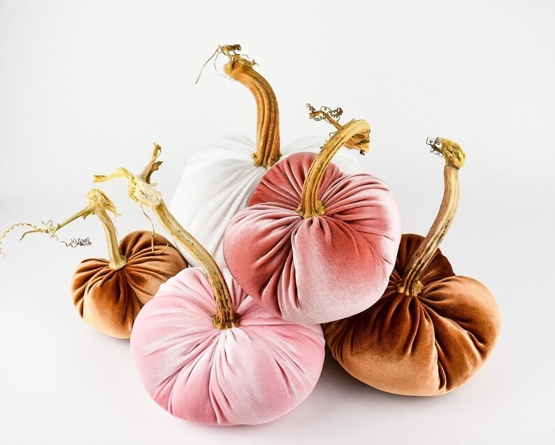 Velvet Pumpkin in Blush With a Real Stem - Etsy | Etsy (US)