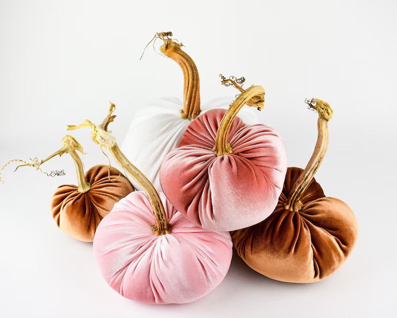 Velvet Pumpkin in Blush With a Real Stem - Etsy | Etsy (US)