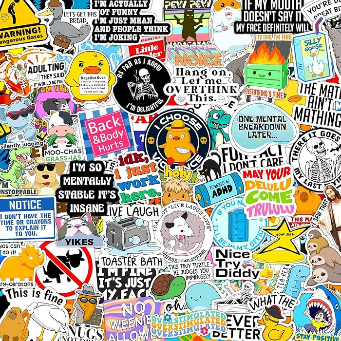 300 Pcs Funny Gift Stickers for Adults (Dirty) Meme Water Bottles Prank Pack Waterproof Cool Stic... | Amazon (US)