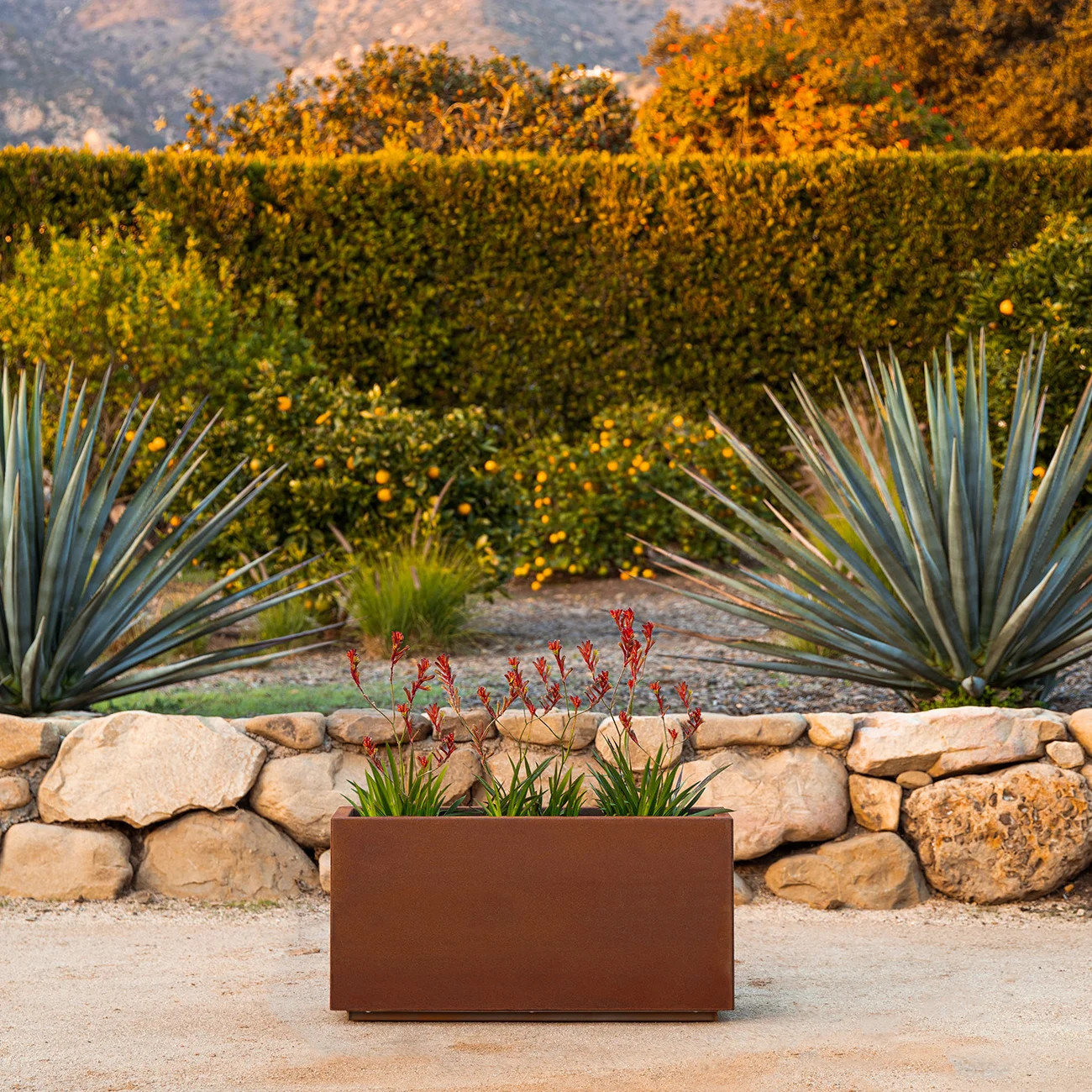 Veradek Corten Steel Series Long Box Planter & Reviews | AllModern | AllModern