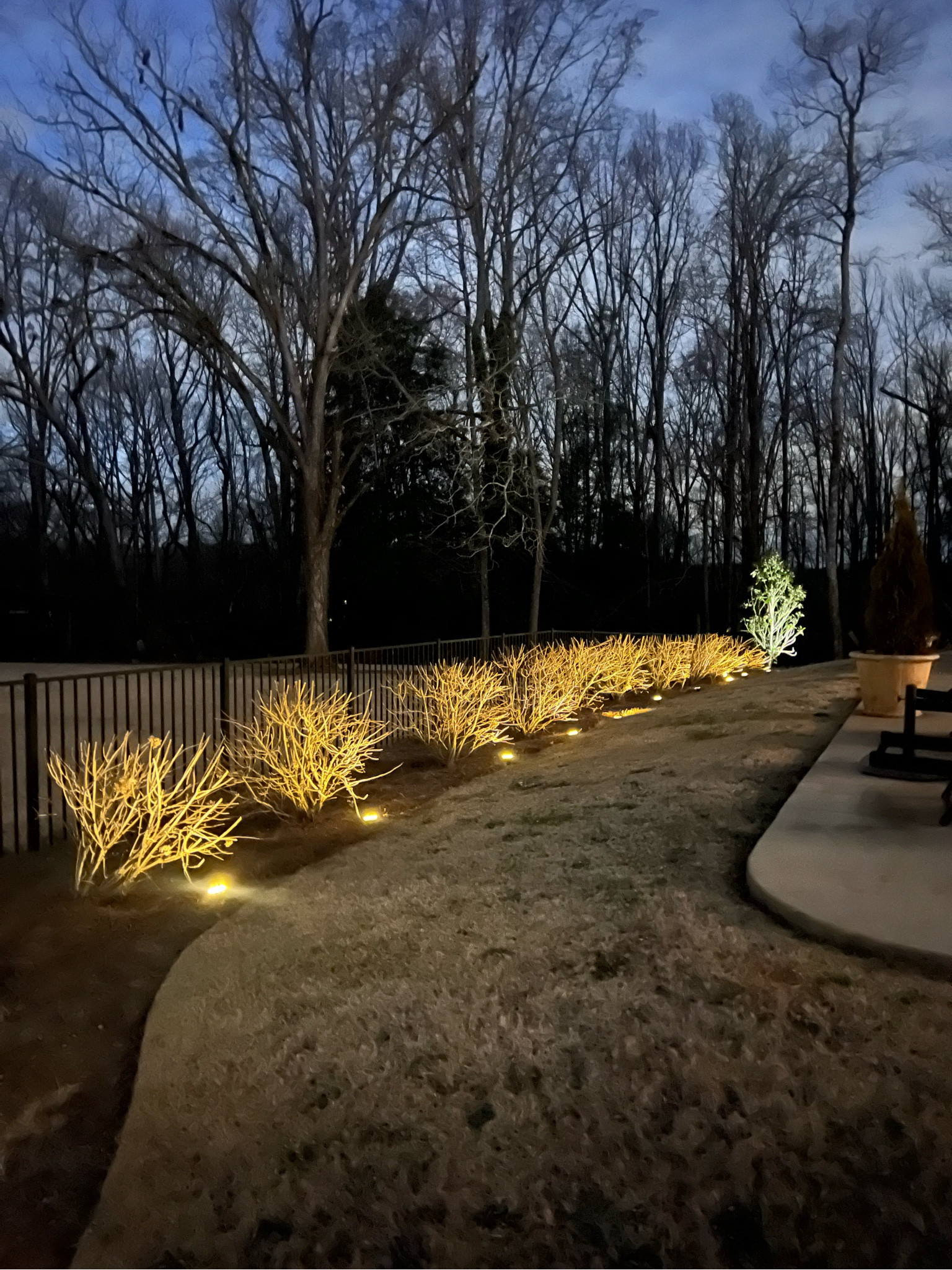 In love with how our front yard looks with the solar lighting.



#LTKHome